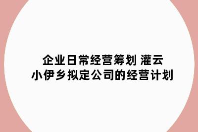 企业日常经营筹划 灌云小伊乡拟定公司的经营计划